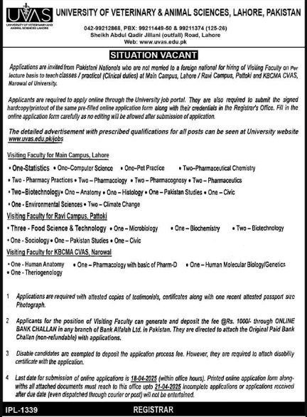 govt jobs 2025