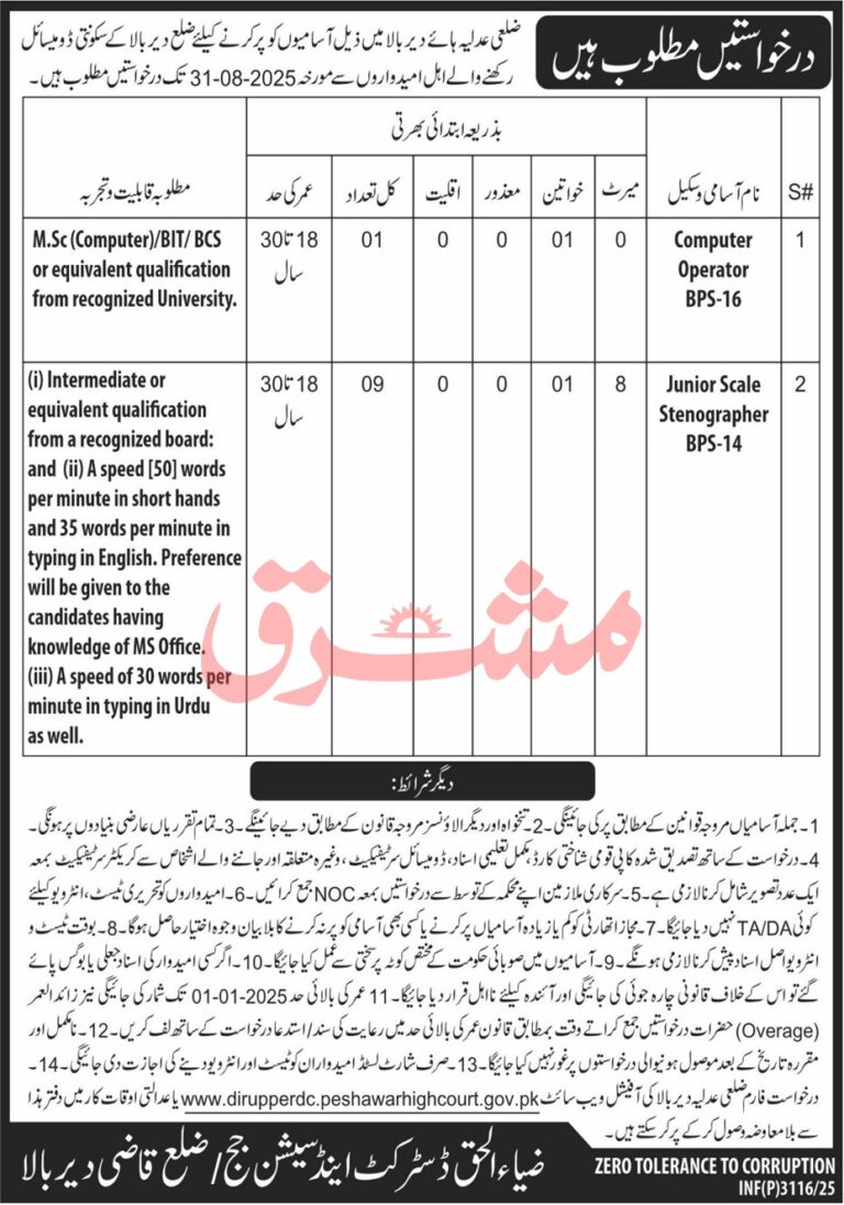 District Court Upper Dir Jobs 2025